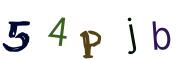 Beeld-CAPTCHA