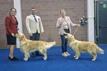 BOB: Wild Wild West Of Sunshine's Valley / BOS: Wild Mustang Of Sunshine's Valley BOB-BOS