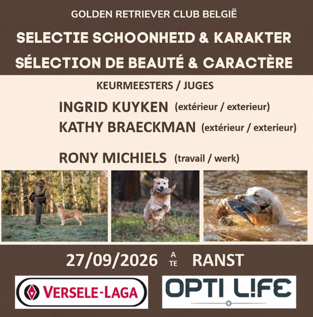 affiche selectie
